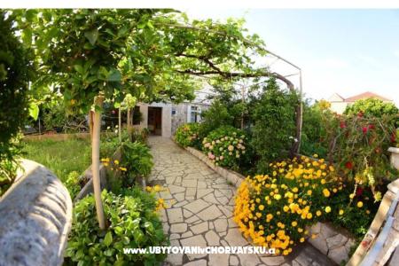 Apartmány  Mate Slavic ostrov Hvar Chorvátsko