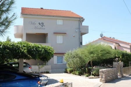 Apartmány Vila Maslina ostrov Krk Chorvátsko